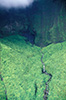 Thumbnail of Inside the Crater