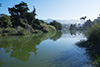 Thumbnail of the Bird Refuge