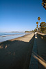 Thumbnail of butterfly Beach