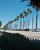 Thumbnail of Cabrillo Boulevard and Palms