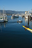 Thumbnail of the Harbor