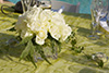 Thumbnail of Arrangement