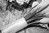 Thumbnail of Bouquet